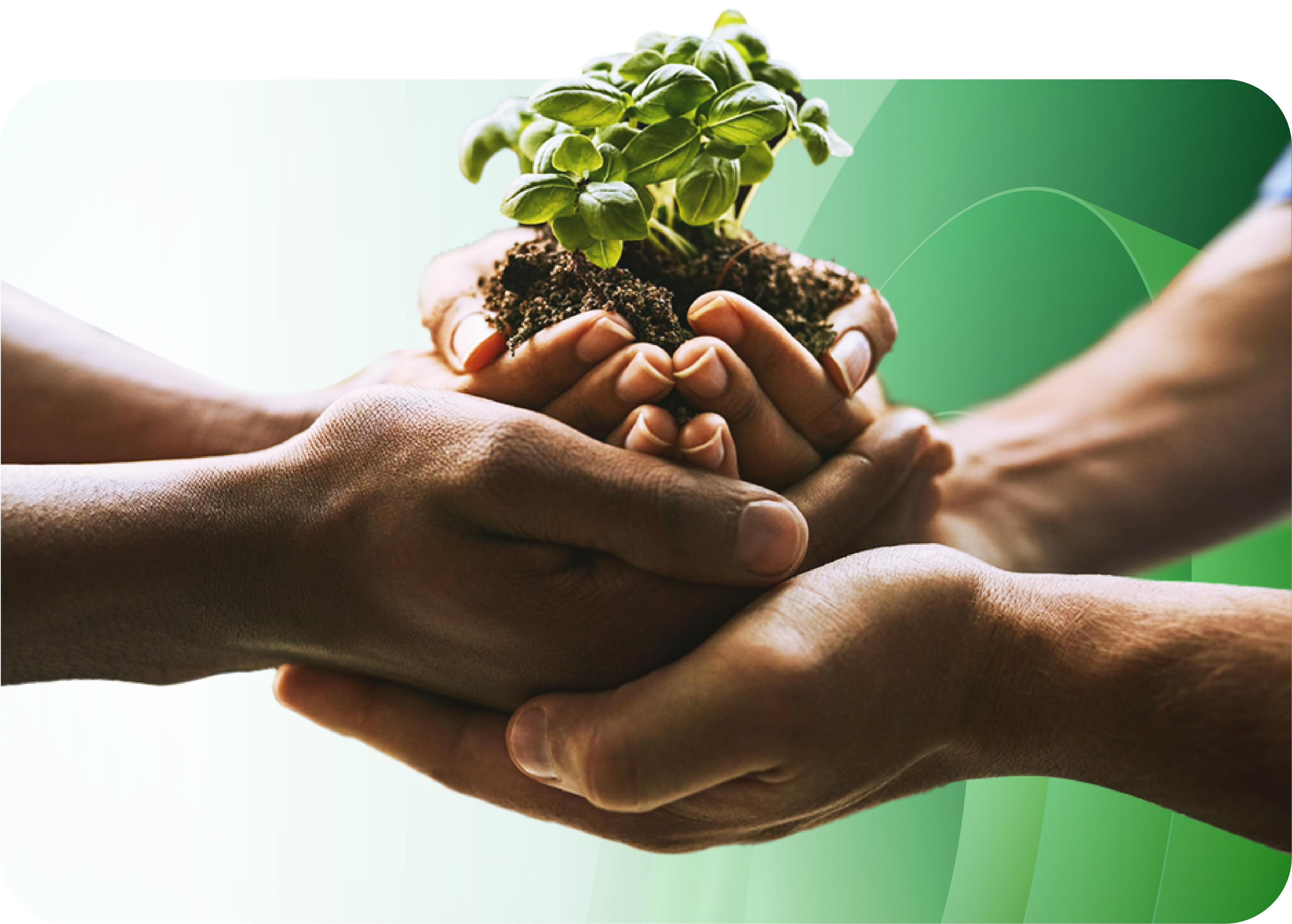 Sustainability Image